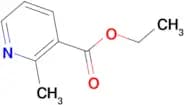 Ethyl 2-Methylnicotinate