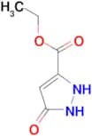 Ethyl 5-Oxo-4,5-dihydro-1H-pyrazole-3-carboxylate