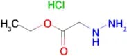 Ethyl Hydrazinoacetate hydrochloride