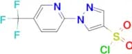 1-[5-(Trifluoromethyl)pyridin-2-yl]-1H-pyrazole-4-sulphonyl chloride