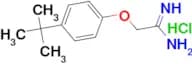 2-(4-tert-Butylphenoxy)ethanimidamide hydrochloride
