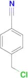 4-(Chloromethyl)benzonitrile