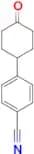 4-(4-Oxocyclohexyl)benzonitrile