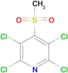 2,3,5,6-Tetrachloro-4-(methylsulfonyl)pyridine