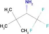 (S)-2,2-Dimethyl-1-trifluoromethyl-propylamine