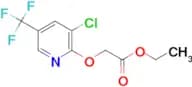 (3-Chloro-5-trifluoromethyl-pyridin-2-yloxy)-acetic acid ethyl ester