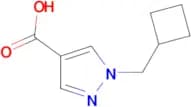 1-Cyclobutylmethyl-1H-pyrazole-4-carboxylic acid
