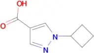 1-Cyclobutyl-1H-pyrazole-4-carboxylic acid