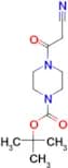 t-Butyl 4-(cyanoacetyl)-1-piperazinecarboxylate