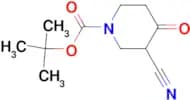 3-Cyano-4-oxo-piperidine-1-carboxylic acid tert-butyl ester