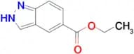 Ethyl 1H-indazole-5-carboxylate