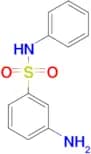 3-Amino-N-phenylbenzenesulfonamide