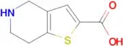 4,5,6,7-Tetrahydrothieno[3,2-c]pyridine-2-carboxylic acid