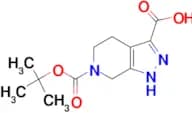 6-Boc-1,4,5,7-tetrahydropyrazolo[3,4-c]pyridine-3-carboxylic acid