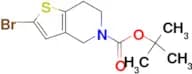 tert-Butyl 2-bromo-6,7-dihydrothieno[3,2-c]pyridine-5(4H)-carboxylate