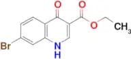 Ethyl 7-bromo-4-hydroxyquinoline-3-carboxylate
