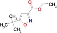Ethyl 5-tert-butylisoxazole-3-carboxylate