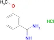 3-Methoxybenzamidine hydrochloride