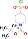 1-Boc-4-Chlorosulfonylpiperidine