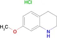 7-Methoxy-1,2,3,4-tetrahydroquinoline hydrochloride