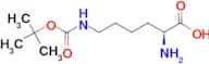 Lys(Boc)