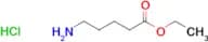 Ethyl 5-aminovalerate hydrochloride
