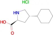 trans-4-Cyclohexyl-L-proline hydrochloride