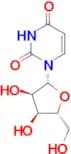 Uridine