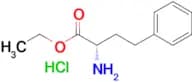 Ethyl (S)-2-amino-4-phenylbutanoate hydrochloride