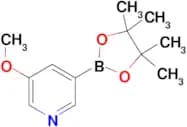 3-Methoxypyridine-5-boronic acid pinacol ester