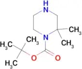 tert-Butyl 2,2-dimethylpiperazine-1-carboxylate