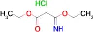 Ethyl 3-ethoxy-3-iminopropanoate hydrochloride