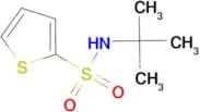 N-tert-Butyl-2-thiophenesulfonamide