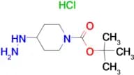 tert-Butyl-4-hydrazinylpiperidine-1-carboxylate hydrochloride