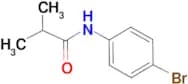 N-(4-Bromophenyl)-2-methyl-propanamide