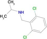 (2,6-Dichloro-benzyl)-isopropyl-amine