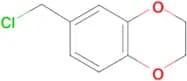 6-Chloromethyl-2,3-dihydro-benzo[1,4]dioxine