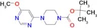 4-(6-Methoxy-pyrimidin-4-yl)-piperazine-1-carboxylic acid tert-butyl ester