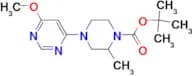 4-(6-Methoxy-pyrimidin-4-yl)-2-methyl-piperazine-1-carboxylic acid tert-butyl ester