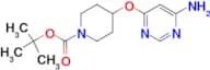 4-(6-Amino-pyrimidin-4-yloxy)-piperidine-1-carboxylic acid tert-butyl ester