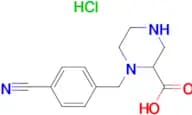 1-(4-Cyano-benzyl)-piperazine-2-carboxylic acid hydrochloride