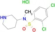 2,4-Dichloro-N-methyl-N-piperidin-3-yl-benzenesulfonamide hydrochloride