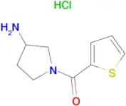 (3-Amino-pyrrolidin-1-yl)-thiophen-2-yl-methanone hydrochloride