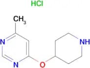 4-Methyl-6-(piperidin-4-yloxy)pyrimidinehydrochloride