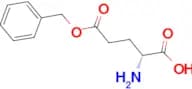 H-D-Glu(OBzl)-OH