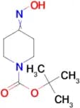 tert-Butyl 4-(hydroxyimino)piperidine-1-carboxylate