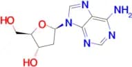(2R,3S,5R)-5-(6-Amino-9H-purin-9-yl)-2-(hydroxymethyl)tetrahydrofuran-3-ol
