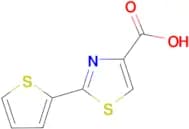 2-(Thiophen-2-yl)thiazole-4-carboxylic acid