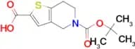 5-(tert-Butoxycarbonyl)-4,5,6,7-tetrahydrothieno[3,2-c]pyridine-2-carboxylic acid