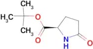 tert-Butyl 5-oxo-D-prolinate